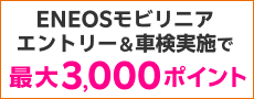 yVoC_҂ܓTIuENEOSrjAv̑ΏۓX܂ŎԌ\E{ōő3,000|CgI